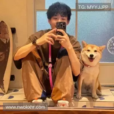 司达蕾